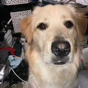 Meet your Posher, Eduardo